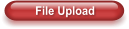 File Upload